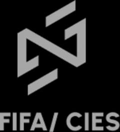 FIFA/CIES University Network Prize